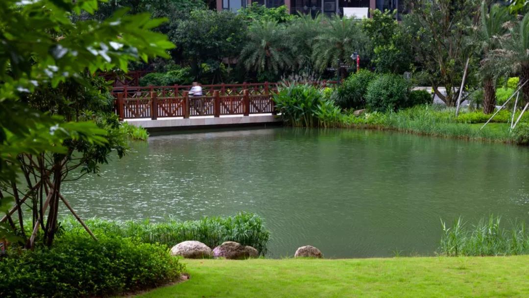 椰林樹影，風(fēng)暖花開 | 熱帶公園里的大區(qū)：珠海藍灣半島9-10期