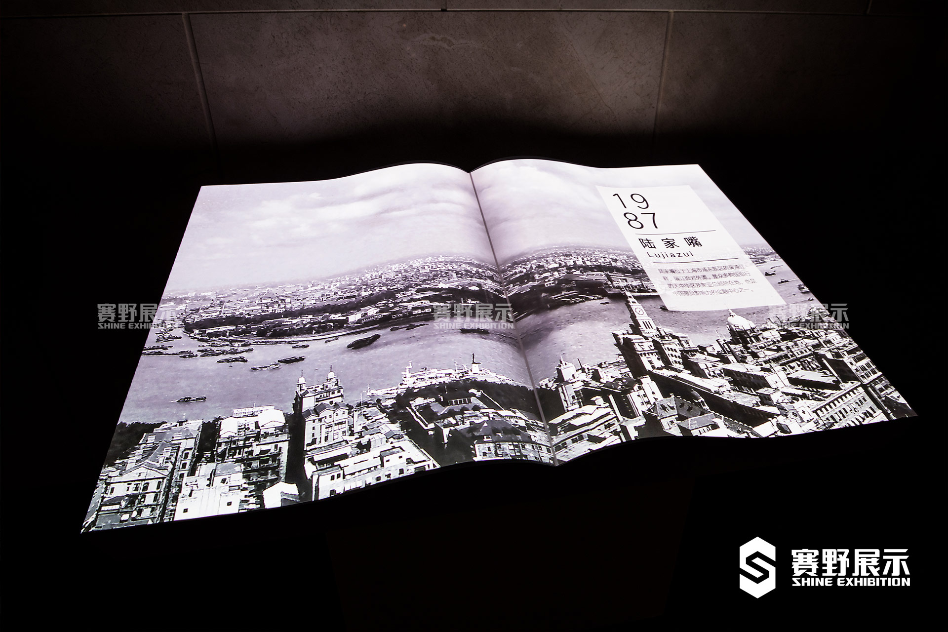 浦東開發(fā)開放30周年藝術(shù)展