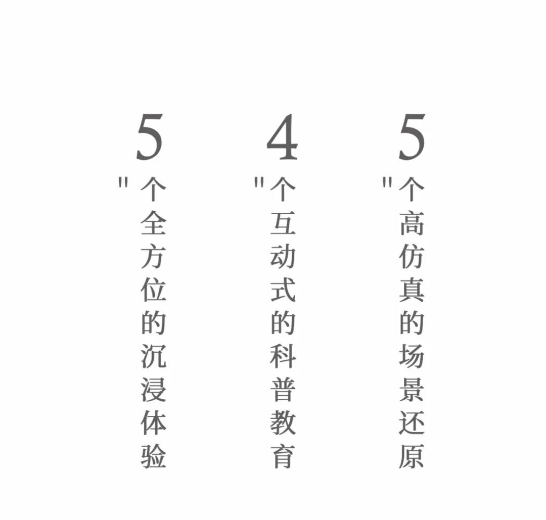 創(chuàng)無止境！賽野攜手華川集團，打造14個沉浸式互動體驗空間